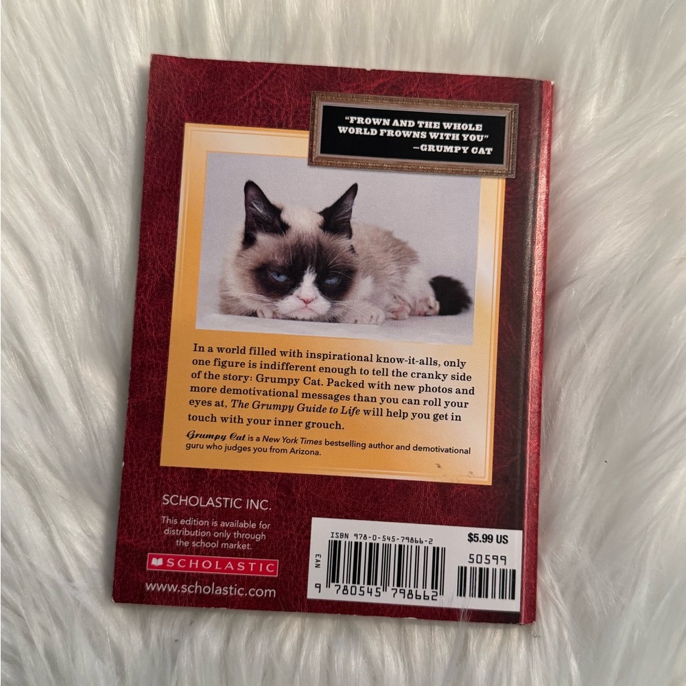 ๐3 For $15๐ The Grumpy Guide To Life Grumpy Cat Book - Picture 3 of 3